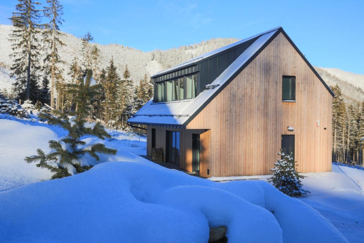 דמנובסקה דולינה Chalet Polarka מראה חיצוני תמונה